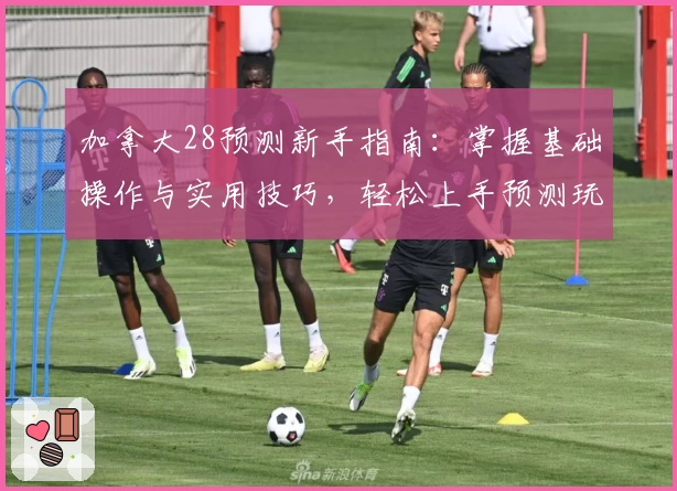 加拿大28预测新手指南：掌握基础操作与实用技巧，轻松上手预测玩法