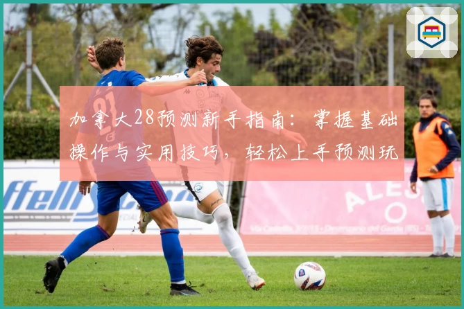 加拿大28预测新手指南：掌握基础操作与实用技巧，轻松上手预测玩法