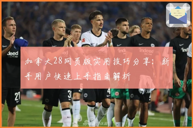 加拿大28网页版实用技巧分享：新手用户快速上手指南解析