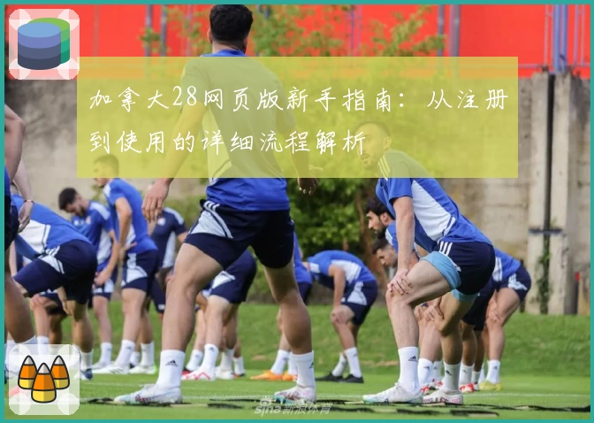 加拿大28网页版新手指南：从注册到使用的详细流程解析