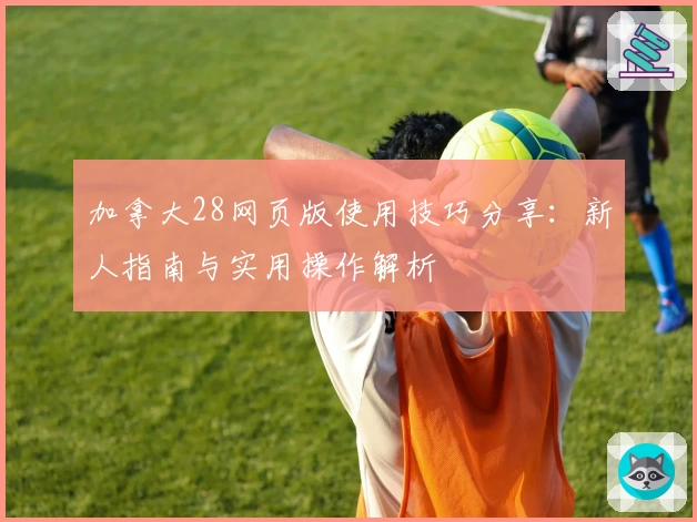 加拿大28网页版使用技巧分享：新人指南与实用操作解析