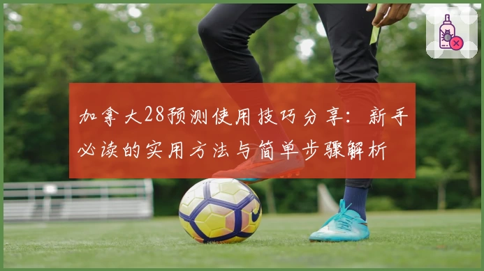 加拿大28预测使用技巧分享：新手必读的实用方法与简单步骤解析
