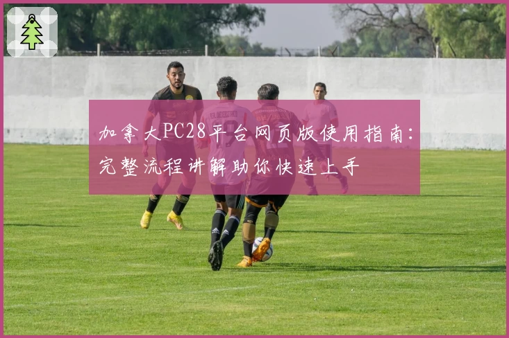 加拿大PC28平台网页版使用指南：完整流程讲解助你快速上手