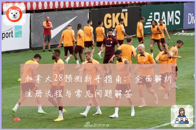 加拿大28预测新手指南：全面解析注册流程与常见问题解答