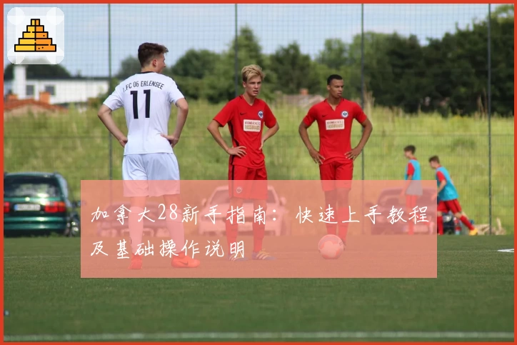 加拿大28新手指南：快速上手教程及基础操作说明