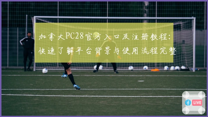 加拿大PC28官方入口及注册教程：快速了解平台背景与使用流程完整指南