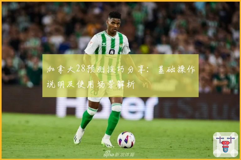 加拿大28预测技巧分享：基础操作说明及使用场景解析