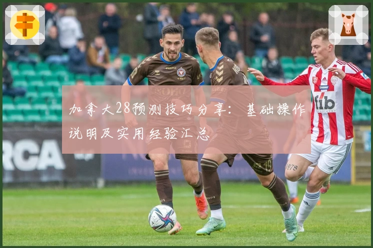 加拿大28预测技巧分享：基础操作说明及实用经验汇总