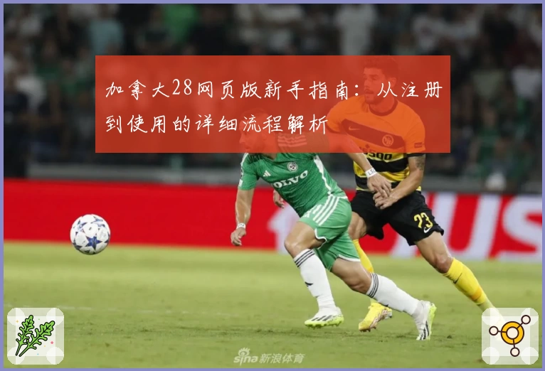 加拿大28网页版新手指南：从注册到使用的详细流程解析