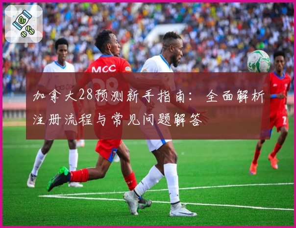 加拿大28预测新手指南：全面解析注册流程与常见问题解答
