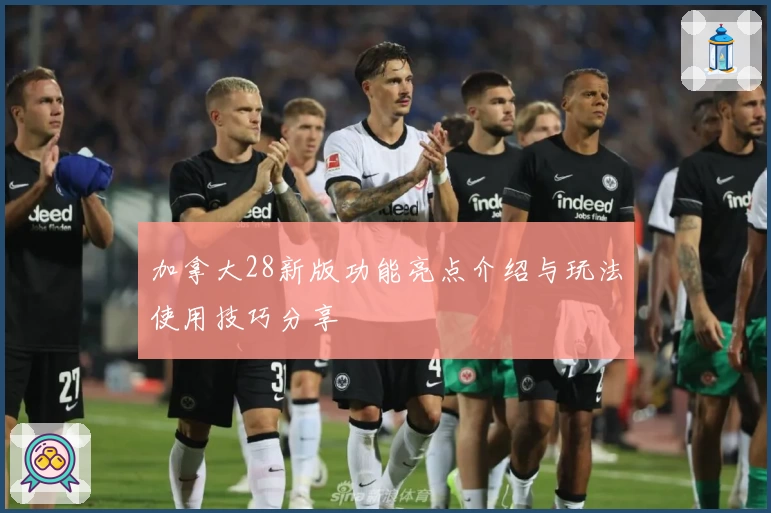 加拿大28新版功能亮点介绍与玩法使用技巧分享